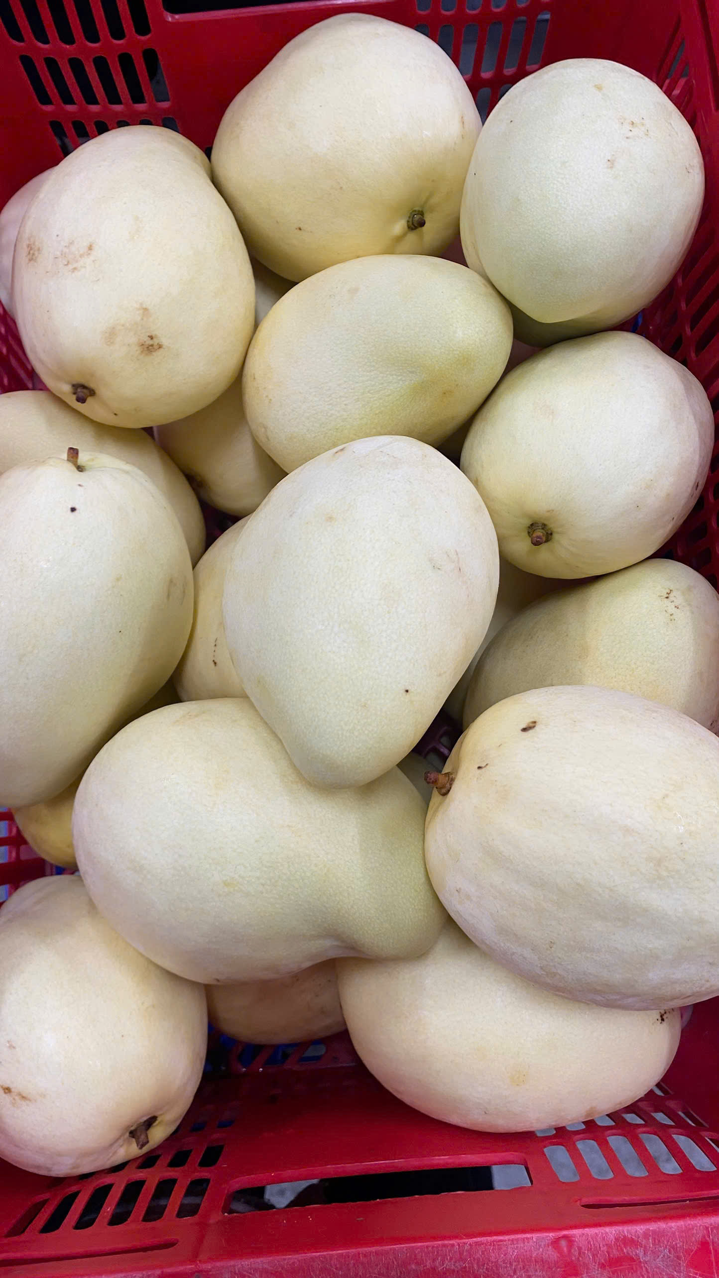 Xoài Tứ Quý trong sọt