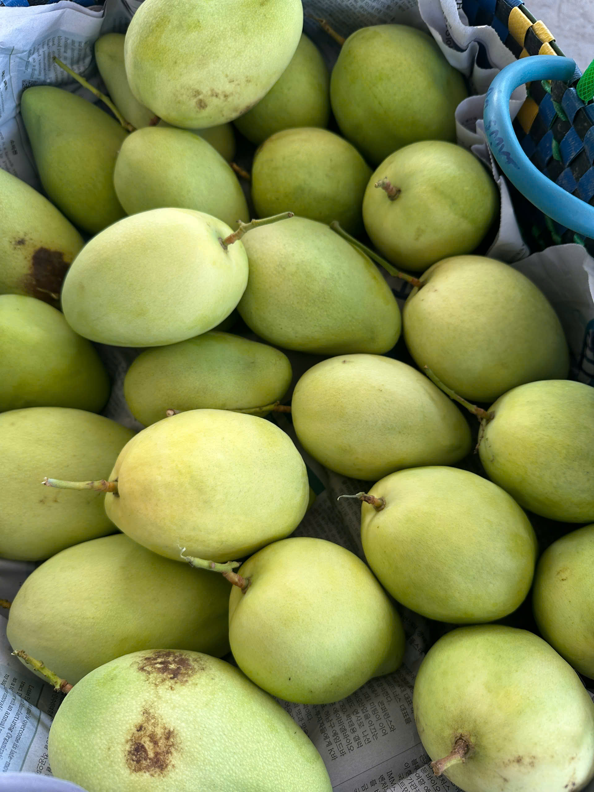 Xoài xanh