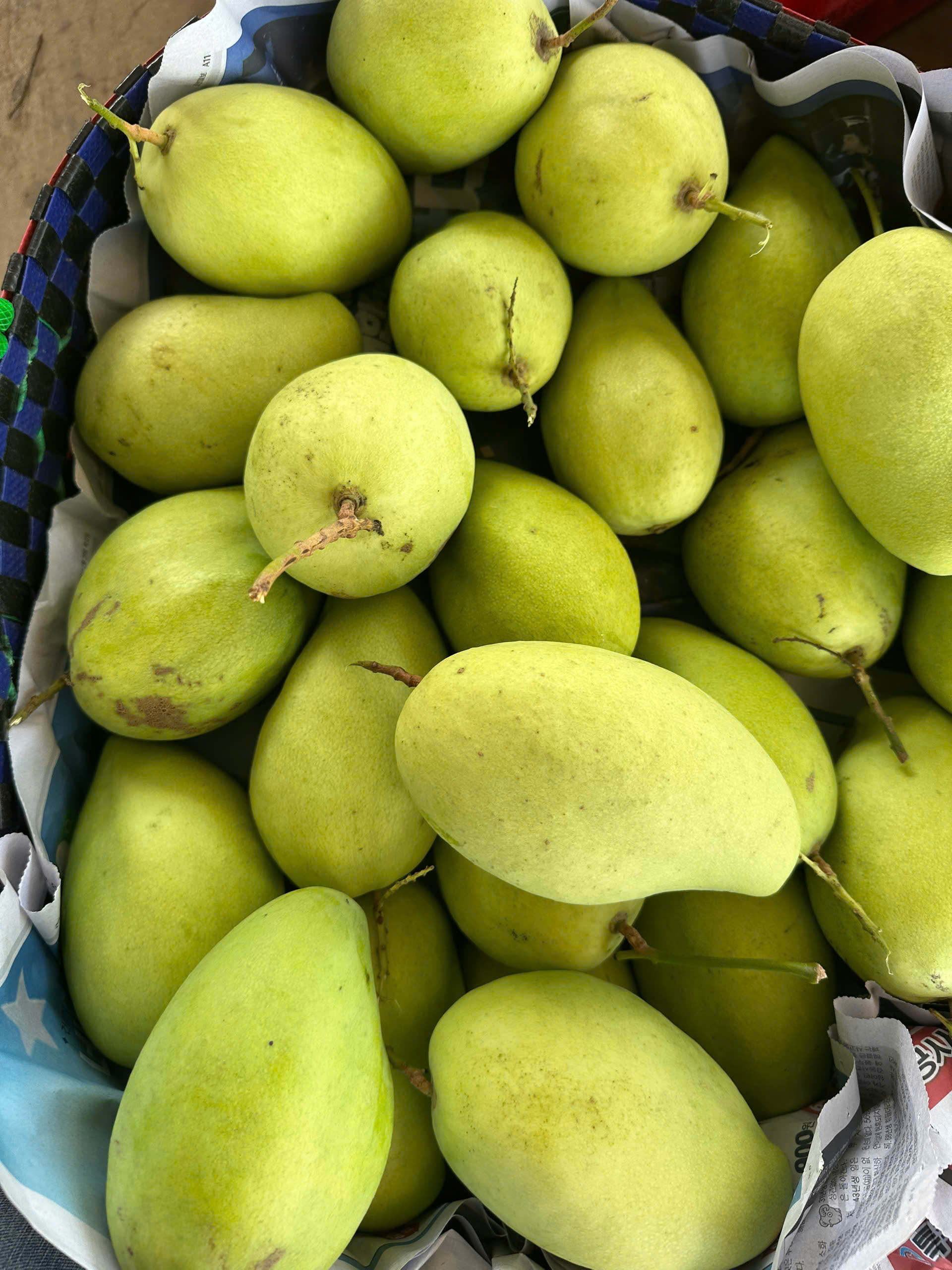 Xoài Tứ Quý xanh